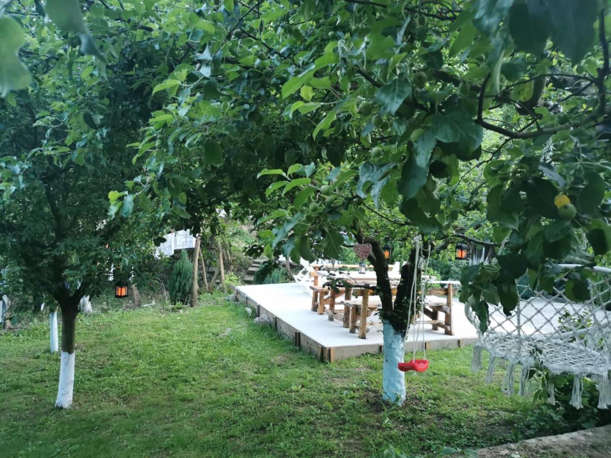 Casa Noastra Hotel Orsova Exterior photo